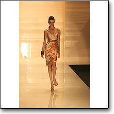 Clips Fashion show Milan Spring Summer '06 © interneTrends.com